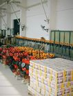 3000kg Vinç Zincir Bloğu Üretici, Zincir Blok Güçlü El Çekme Kuvveti İçin Emniyet Mandalı