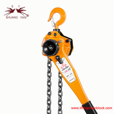 1500kg 1.5Ton Lever Block Chain Hoist Amerikan Tipi 4 Zamanlı Kırma Gücü Test CE Standartı