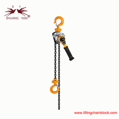 Mini 0,25 Ton Galvanize Zincir Kılavuz Kılavuz Kılavuz Kılavuz Kılavuzu