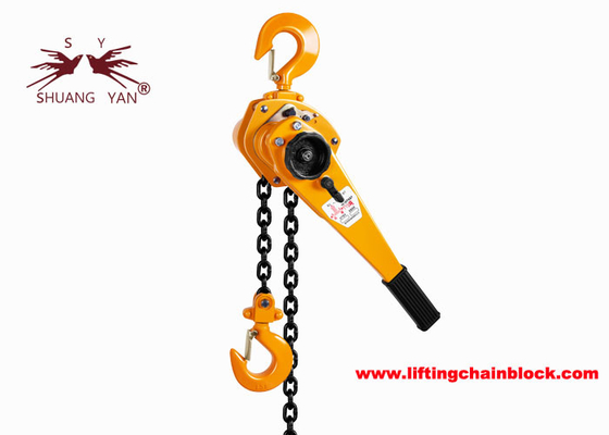 El Kaldırma Hızlı Kaldırma Kolu Zincirli Vinç, Üst ve Alt Kancalar ve Parlak Zincir Rengi